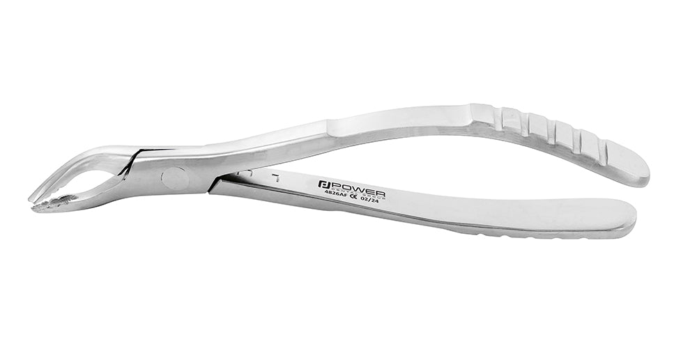 Pinza de extracción americana 151AF para premolar inferior