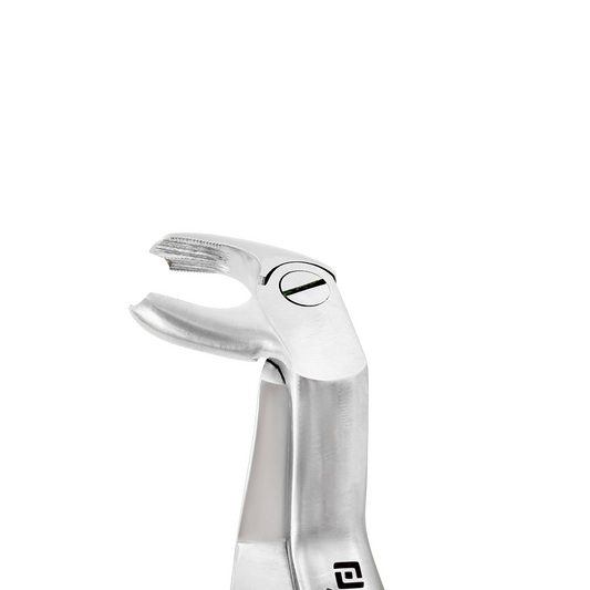 Close-up of the angled beak on 4972 Power Extraction Forceps – #22 Molar Pattern, 45° Cross-Arch for lower left and upper right molar extractions.