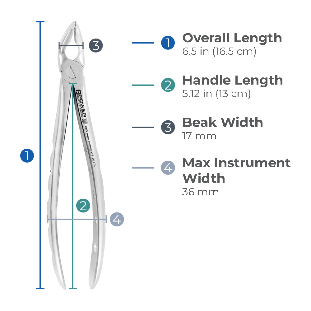 Dimensions of Power Atraumatic Extraction Forceps #151 F2P showing overall length, handle length, beak width, and maximum instrument width
