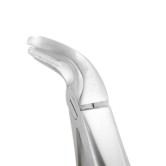 Extraction Forceps F2 – Lower Universal