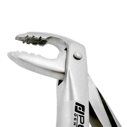 Angled close-up of Power Atraumatic Extraction Forceps Ash F4P showing serrated tapered beaks for lower anteriors