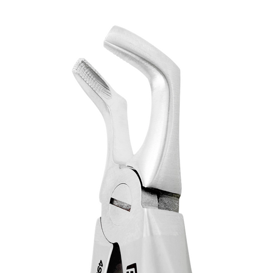 Pediatric Extraction Forceps – F7B, Lower Third Molars