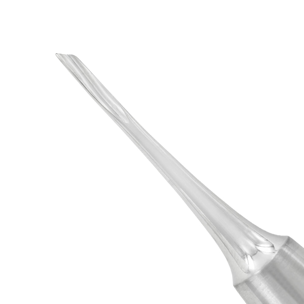 Close-up of ASL 2.5 mm right elevator tip