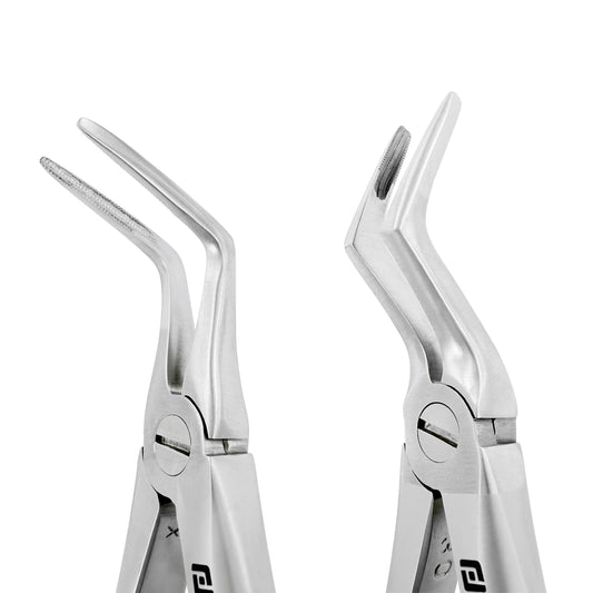 Close-up of slim beaks with cross-serrated tips and pivot screw joint on Power Root Extraction Forceps Kit.