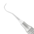 Détartreur antérieur de la drépanocytose H5/30