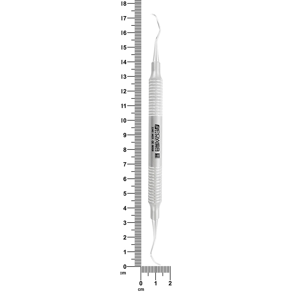 Nevi-4, un squameux postérieur en forme de faucille 