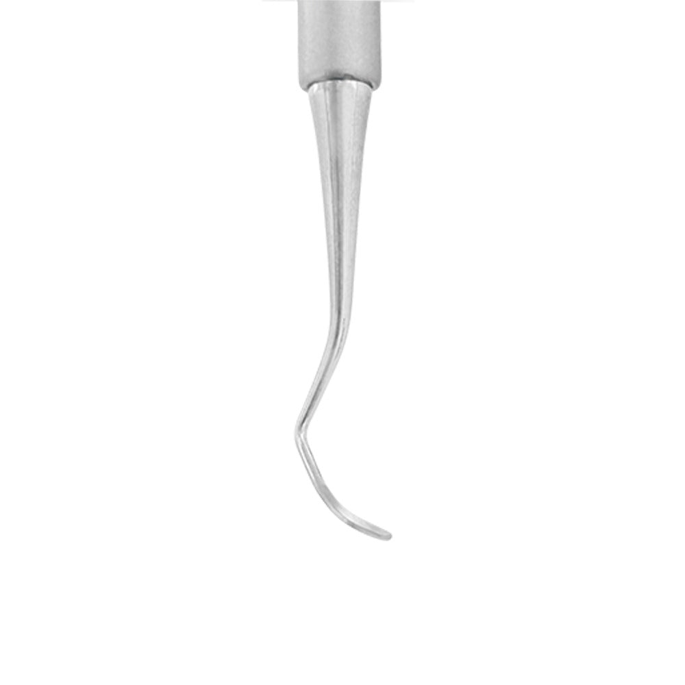 Barnhart BH5/6 Universal Curette | Power Dental Group