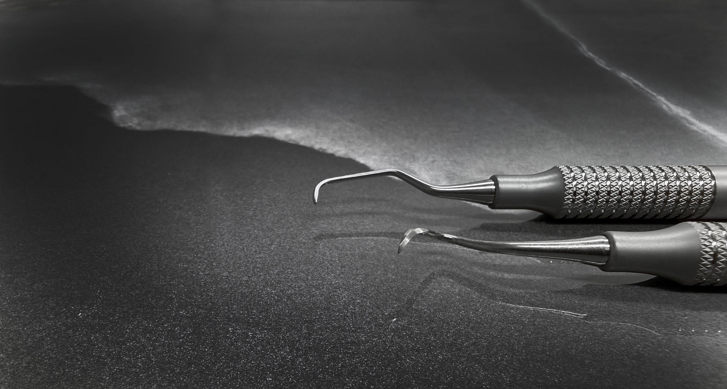 <p>MEMBERS <strong>SAVE 15% </strong>–</p><p><strong>MARCH 16–31</strong></p><p></p>