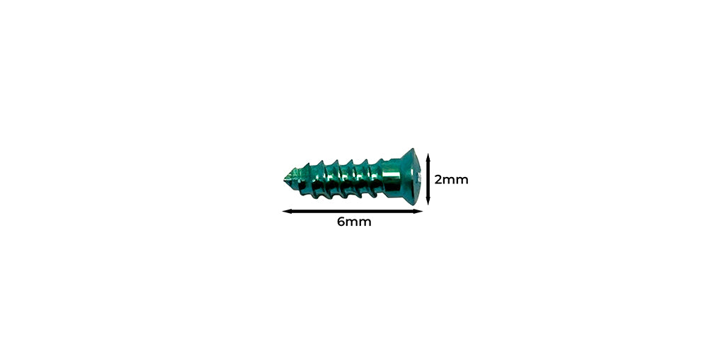 GBR FIX SCREW 2.0 X 6 mm