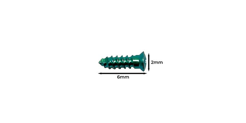 GBR FIX SCREW 2.0 X 6 mm