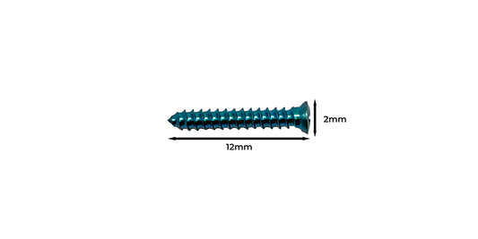 GBR FIX SCREW 2.0 X 12 mm
