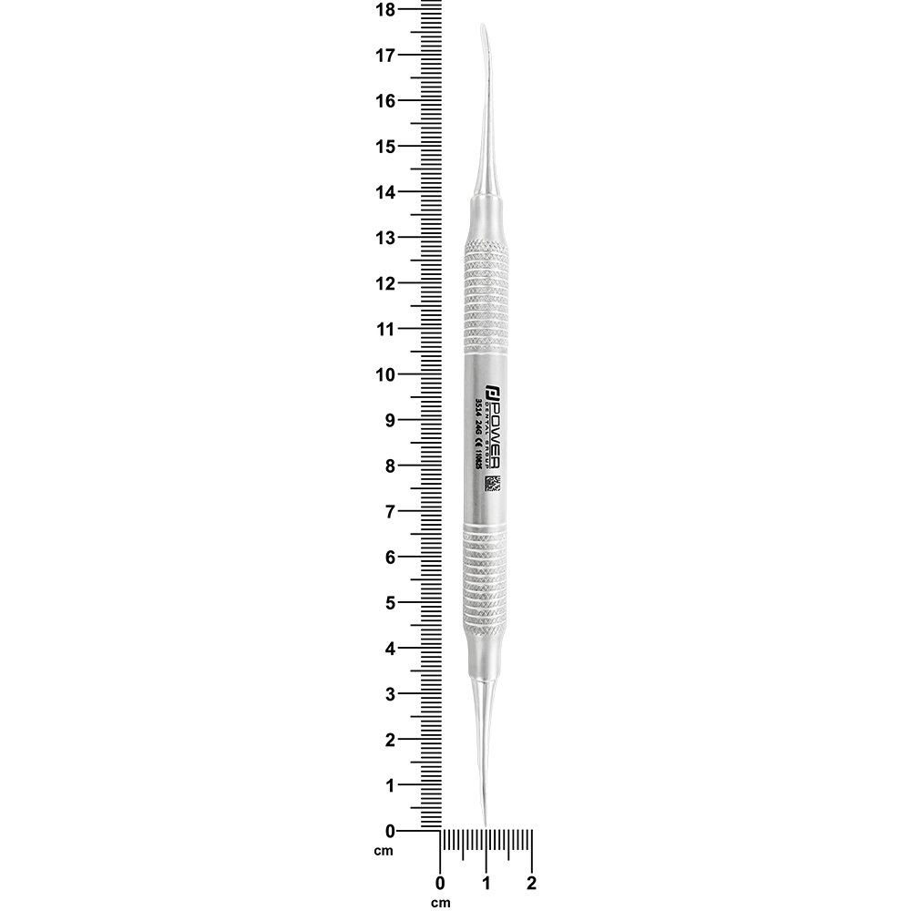 Périosté P24G 