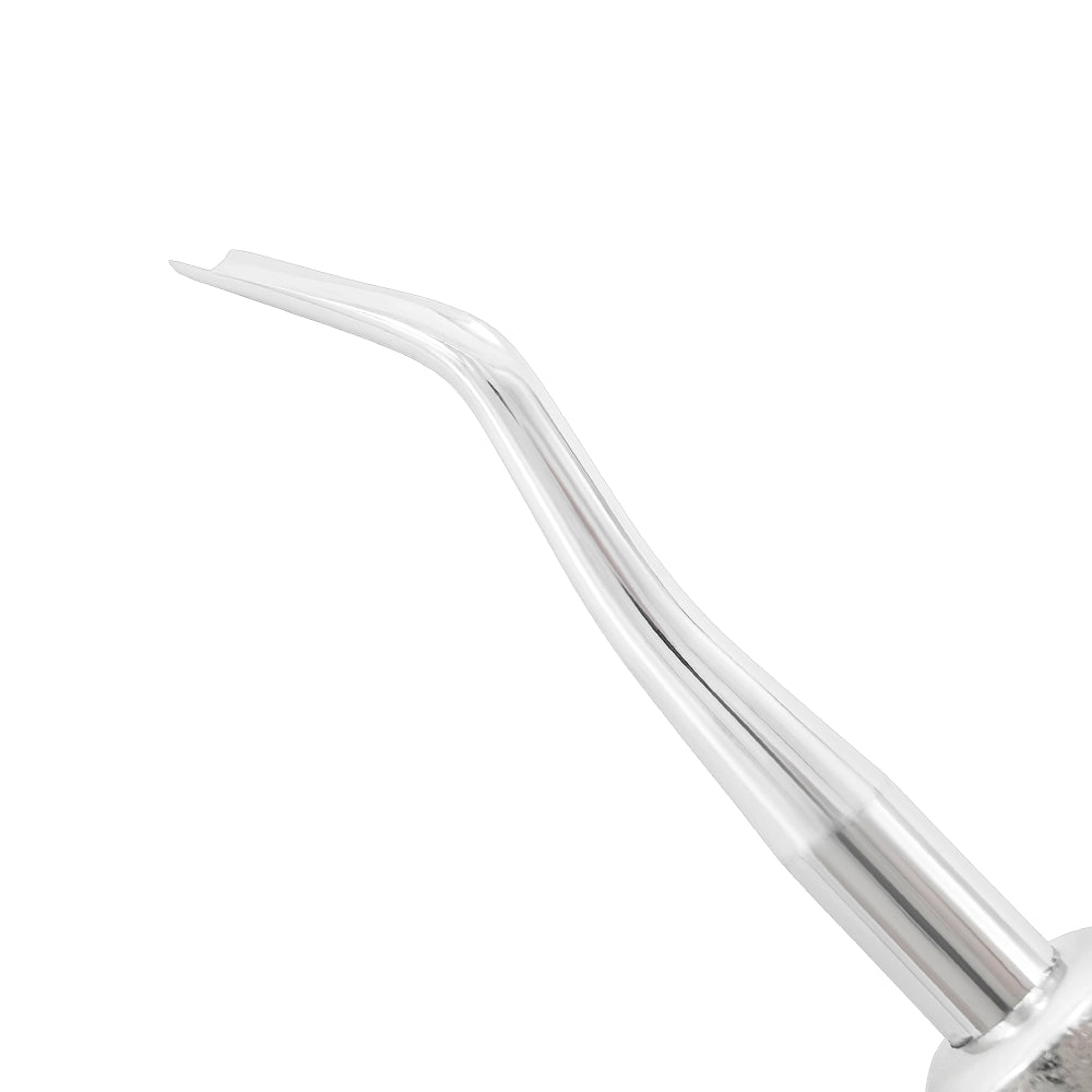 Ascenseur Friedman Gouge dentelé F31 – Extérieur