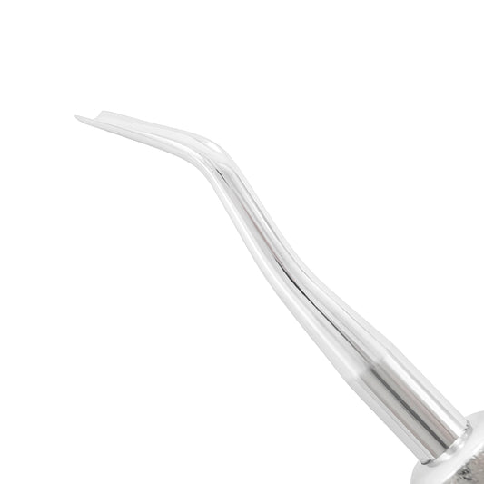 Ascenseur Friedman Gouge dentelé F31 – Extérieur