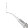 Root Tip Pick – Apical 9L