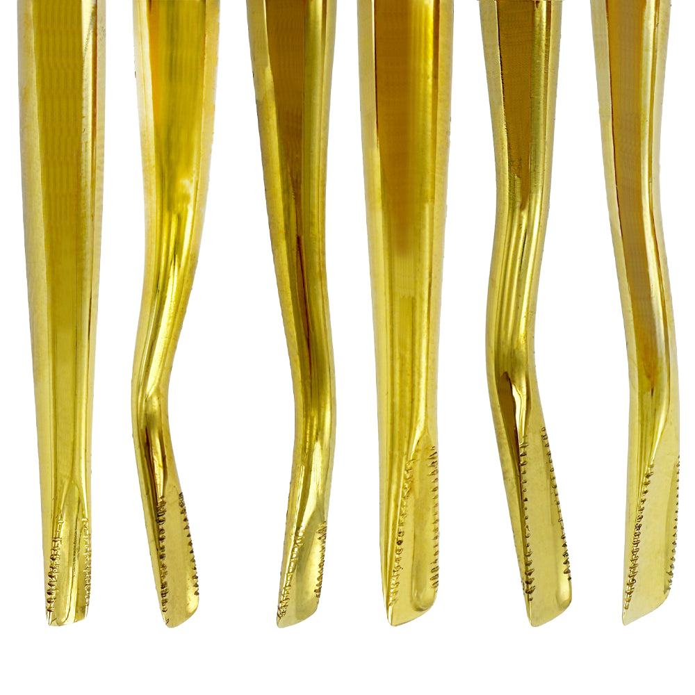 Kit de elevador Power Flex dentado de titanio (juego de 6)