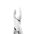 American Pattern #1AF Upper Central Forceps – serrated beaks close-up