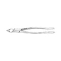 American Pattern #1AF Extraction Forceps – full straight view