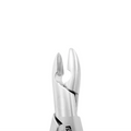 American Pattern #1 Upper Central Forceps – serrated beaks close-up