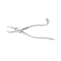 Pinces d'extraction – Américaines n° 10H, molaires supérieures