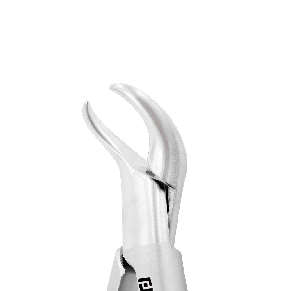 Pinzas de extracción – Modelo americano n.° 16S, para molares inferiores infantiles, de cuerno de vaca