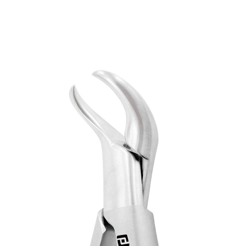 Pinzas de extracción – Modelo americano n.° 16S, para molares inferiores infantiles, de cuerno de vaca