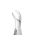 Pince d'extraction – Modèle américain n° 16, corne de vache pour molaire inférieure 