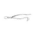 Pince d'extraction – Modèle américain n° 18R, molaires supérieures (droite)