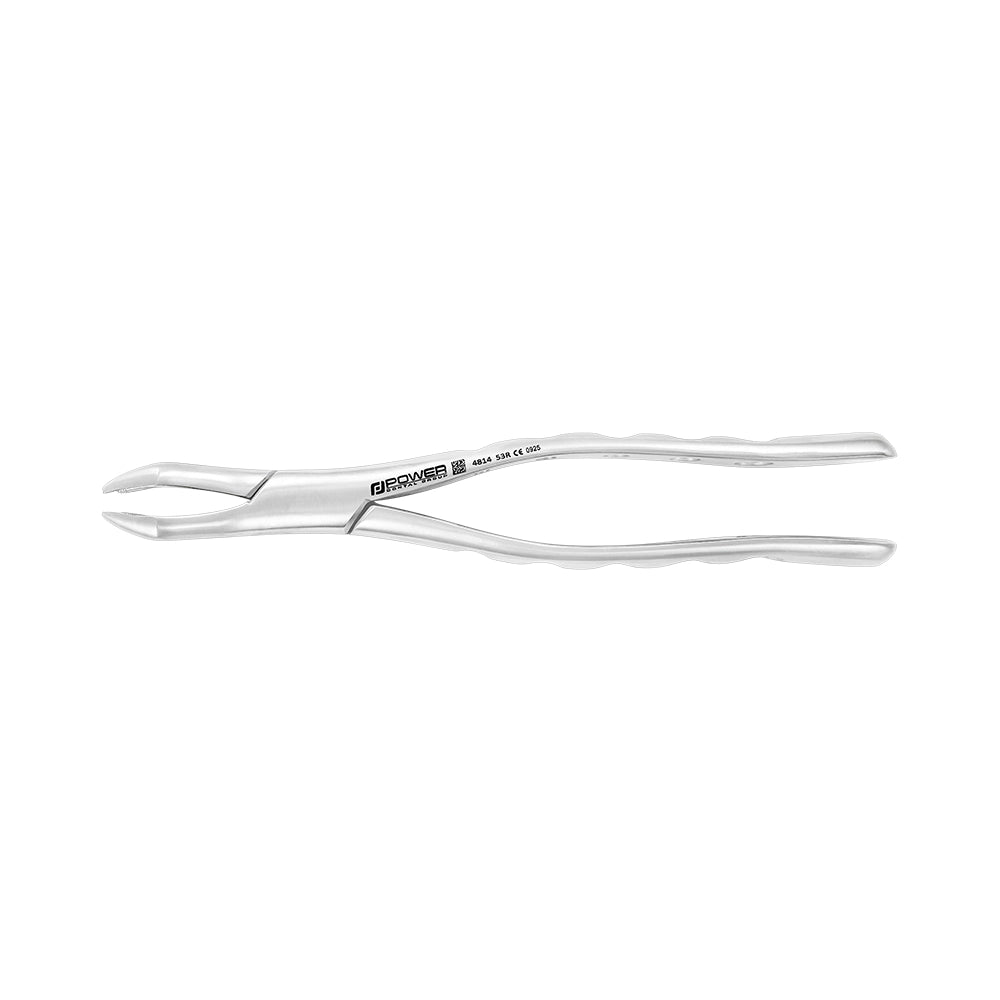 Forceps 53 R Extraction Forceps – American Pattern #53R, Upper Molars (Right ...