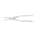Pince d'extraction – Modèle américain n° 53R, molaires supérieures (droite)