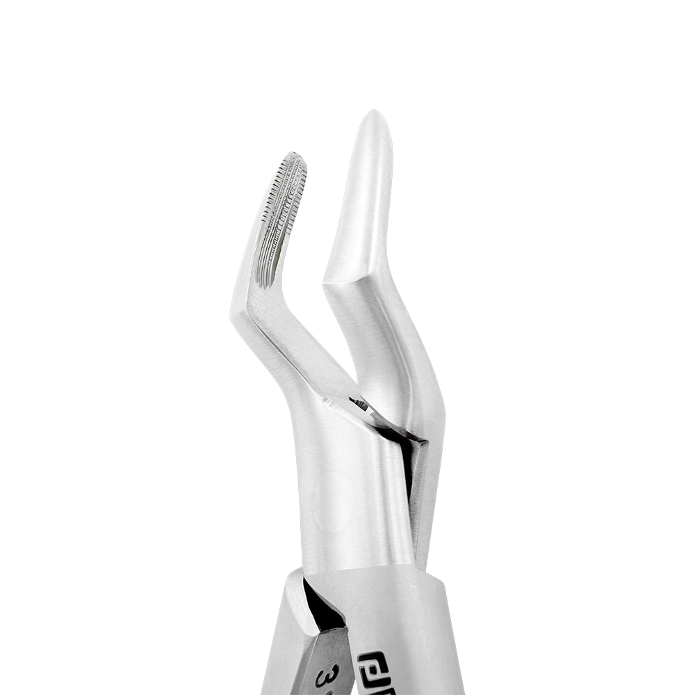 Extraction Forceps – American Pattern #65, Upper Roots