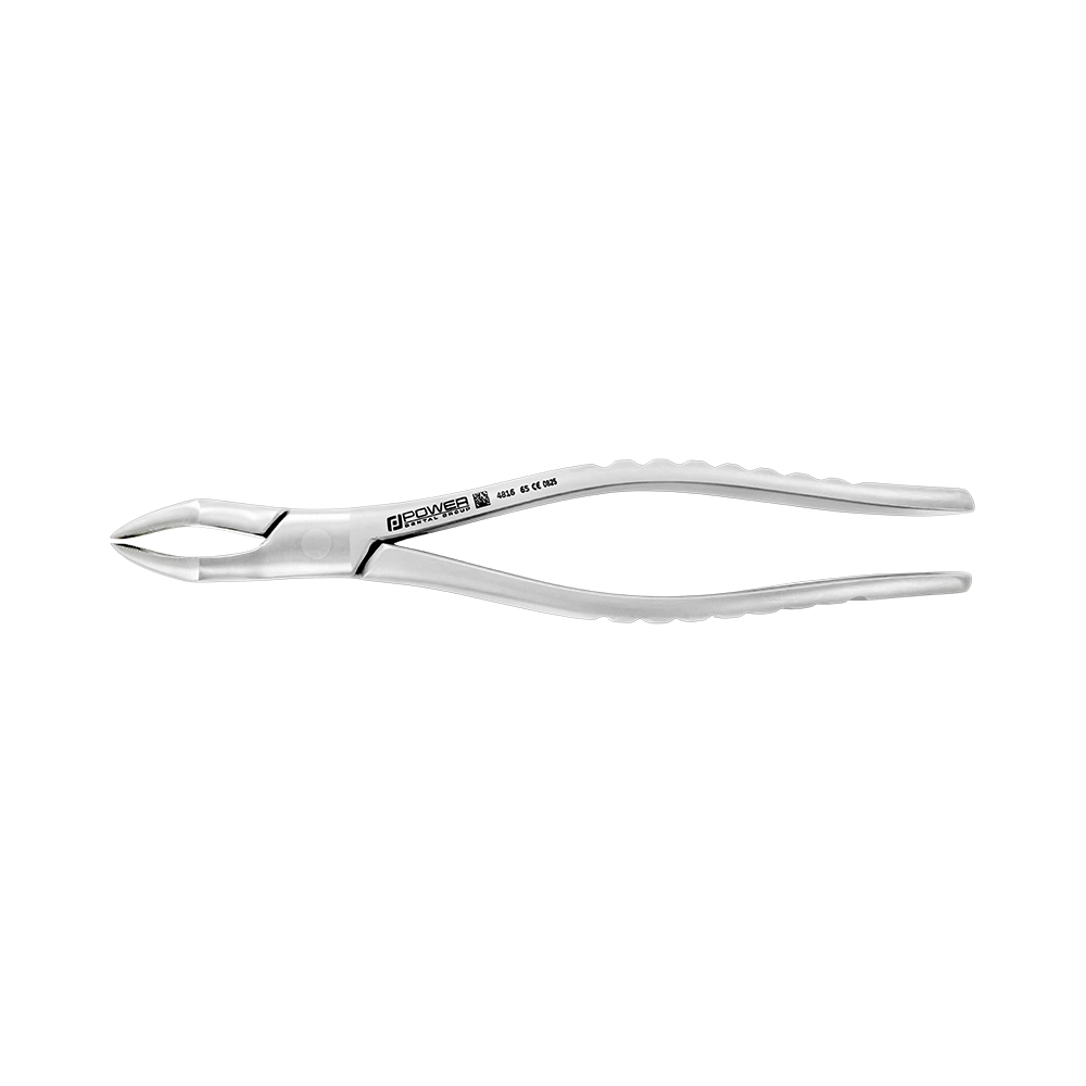 Extraction Forceps – American Pattern #65, Upper Roots