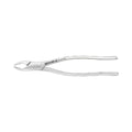 Pinces d'extraction – Modèle américain n° 69, fragments de racines supérieures et inférieures