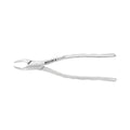 Pinces d'extraction – Modèle américain n° 69, fragments de racines supérieures et inférieures
