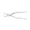 Pinces d'extraction – Modèle américain n° 10S, molaires supérieures