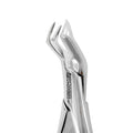 Extraction Forceps #88R Upper Molars Right - tip macro view