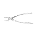 Pinces d'extraction – Modèle américain n° 150AS, prémolaires supérieures