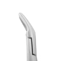 Close-up of beaks on Extraction Forceps #150