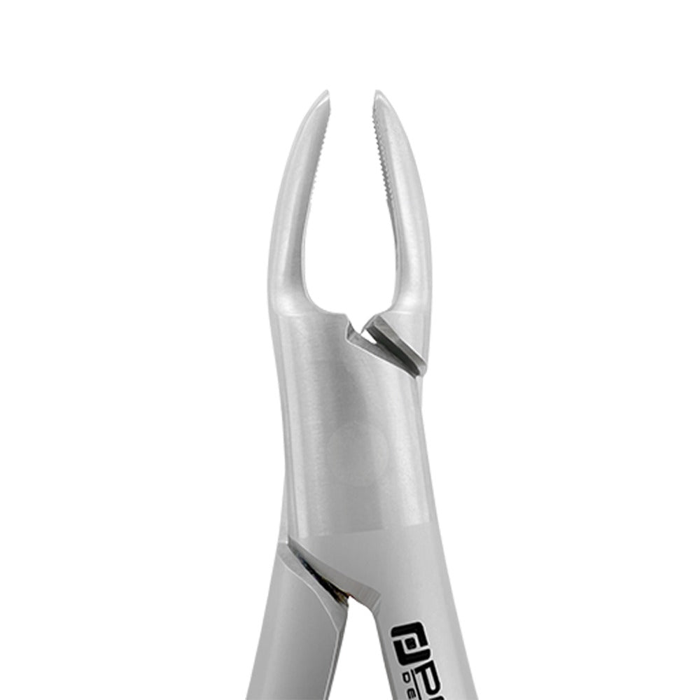 Close-up of beaks on Extraction Forceps #150