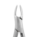 Close-up of beaks on Extraction Forceps #150