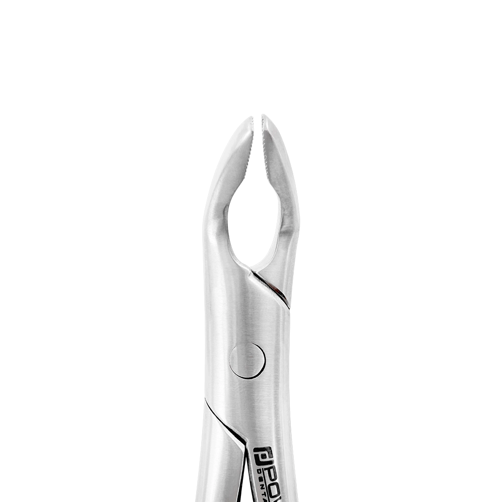 Extraction Forceps – American Pattern #151AFS, Lower Premolars (Spring)