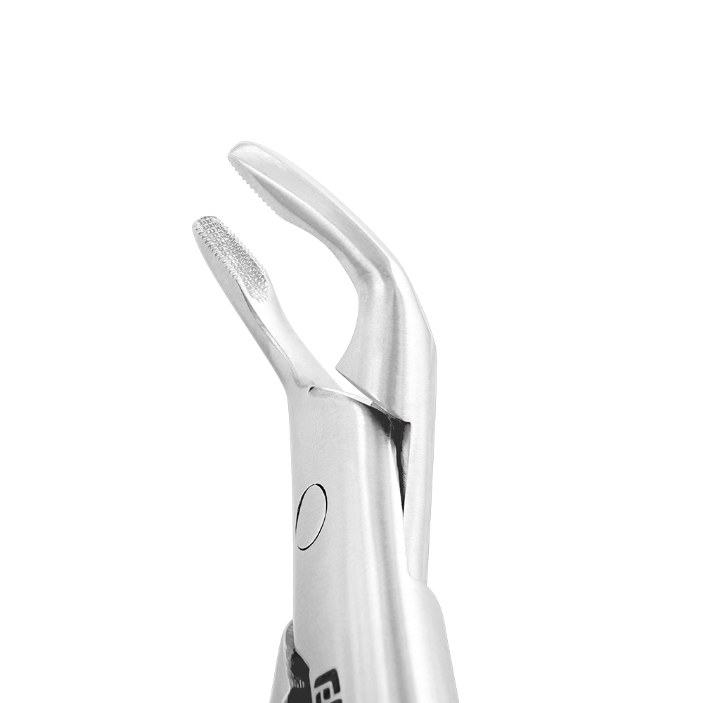 Extraction Forceps – American Pattern #151AFS, Lower Premolars (Spring)