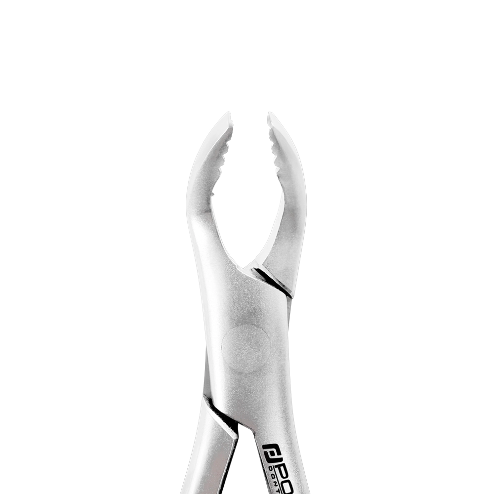 Pinces d'extraction – Modèle américain n° 151AF, prémolaires inférieures