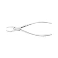 Pinces d'extraction – Modèle américain n° 151AF, prémolaires inférieures