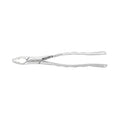 Pinces d'extraction – Modèle américain n° 151AS, prémolaires inférieures