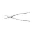 Pinces d'extraction – Modèle américain n° 151AS, prémolaires inférieures