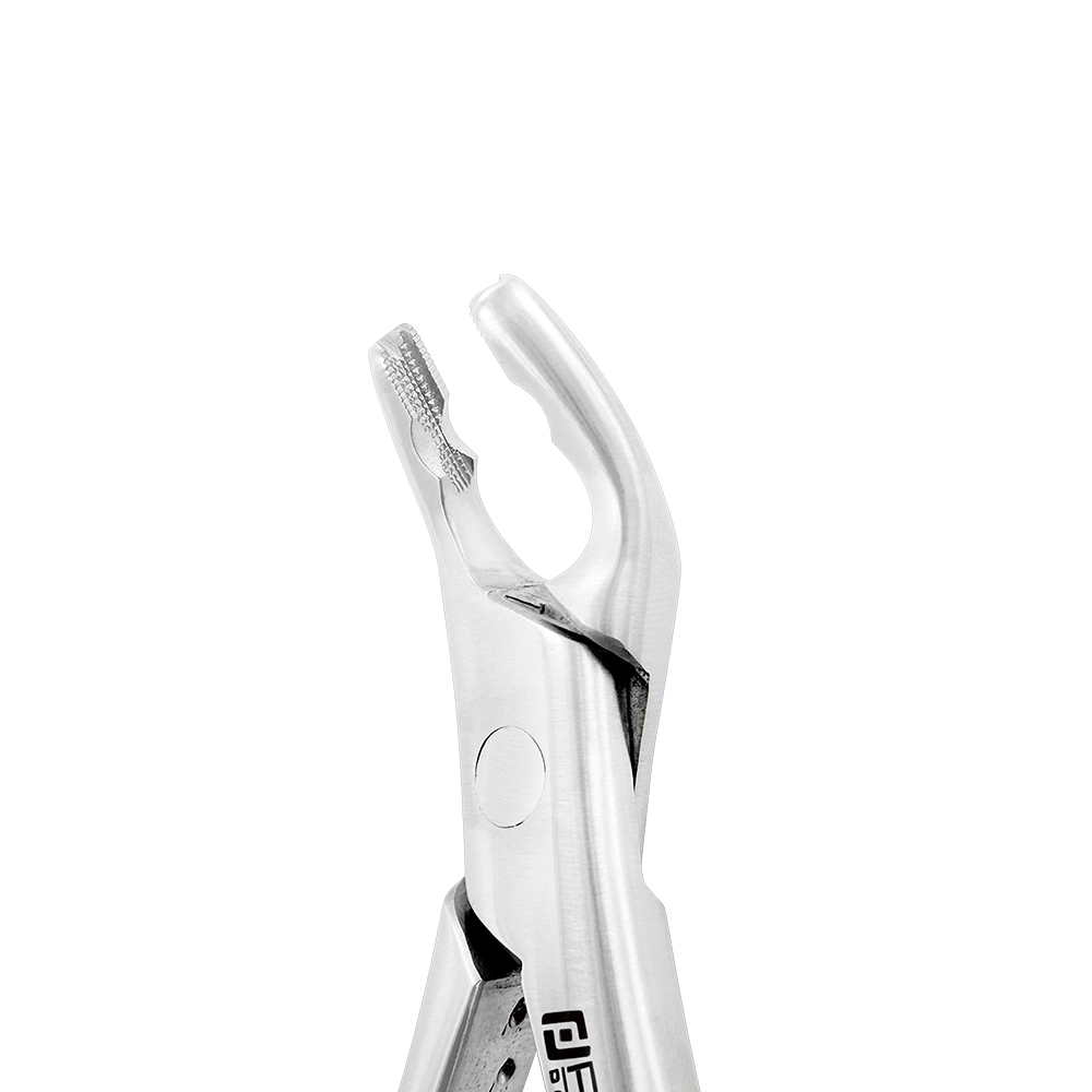 Pediatric Extraction Forceps – American Pattern #151XAS, Lower Premolars