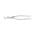 Pince d'extraction – Modèle américain n° 151, prémolaires inférieures / universelle inférieure 