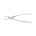 Pince d'extraction – Modèle américain n° 151, prémolaires inférieures / universelle inférieure 