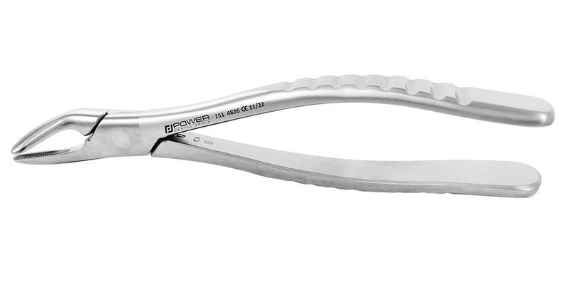 Extraction Forceps American 151 Lower Premolar and Lower Universal